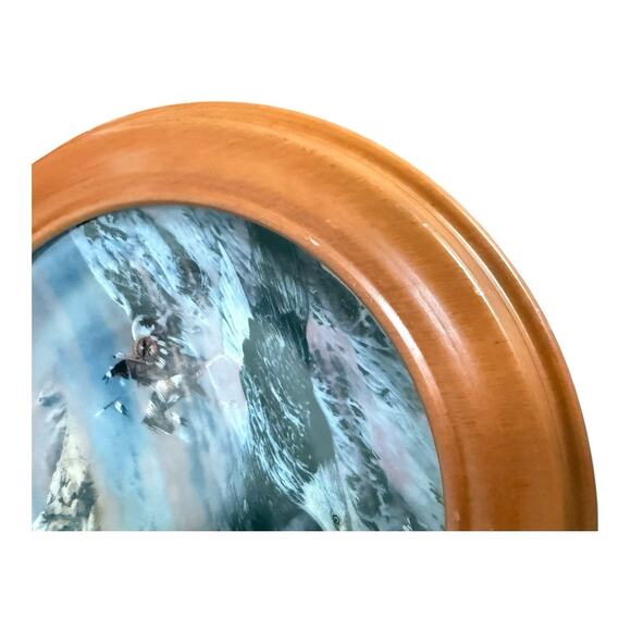 Julie Kramer Cole The Faces of Nature Wambli Okiye 1993 Collector Plate - Picture 4 of 5